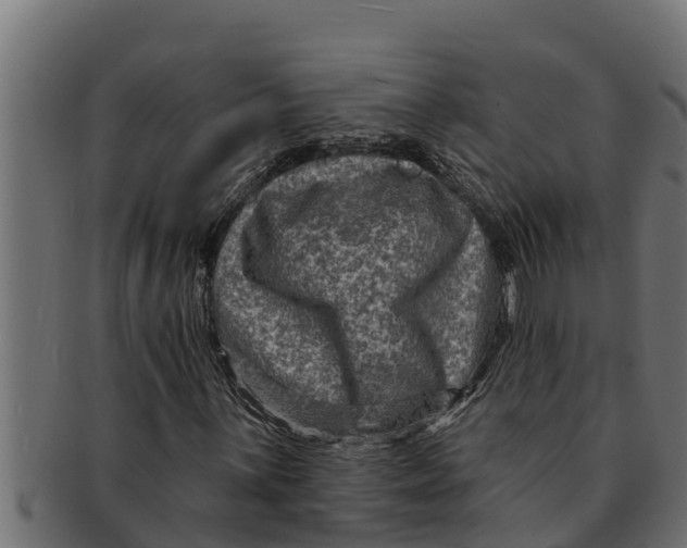 X0000091691059200709201254