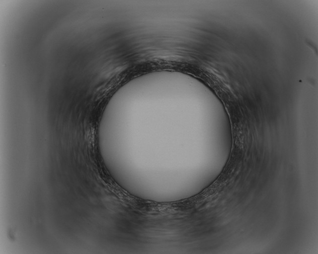 X0000091691061200709201254