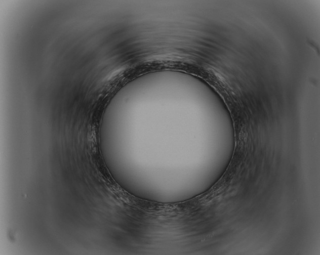 X0000091691062200709201254