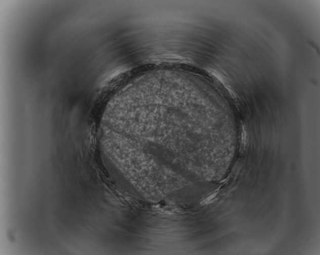 X0000091691063200709201254