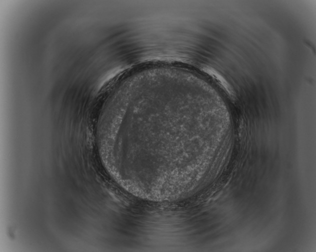 X0000091691064200709201254