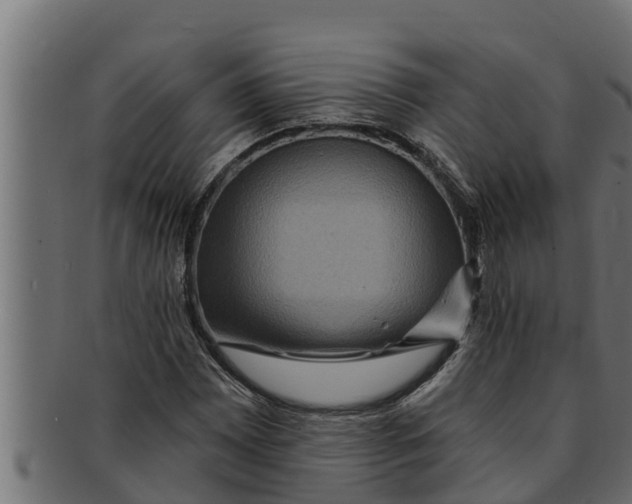 X0000091691065200709201254