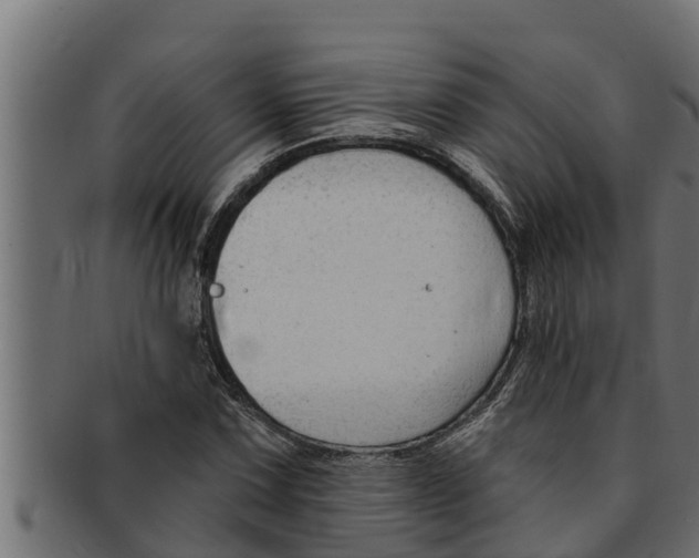 X0000091691067200709201254