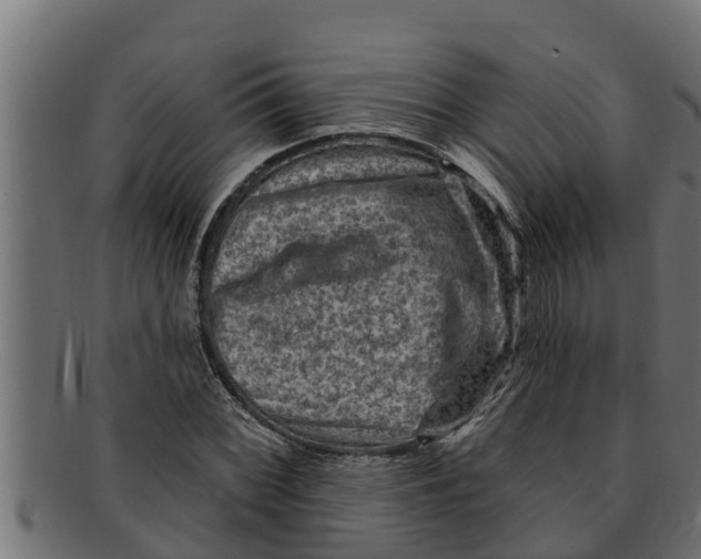 X0000091691068200709201254