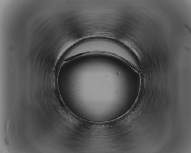 X0000091691069200709201254