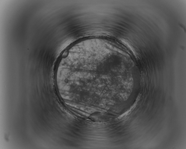 X0000091691071200709201254