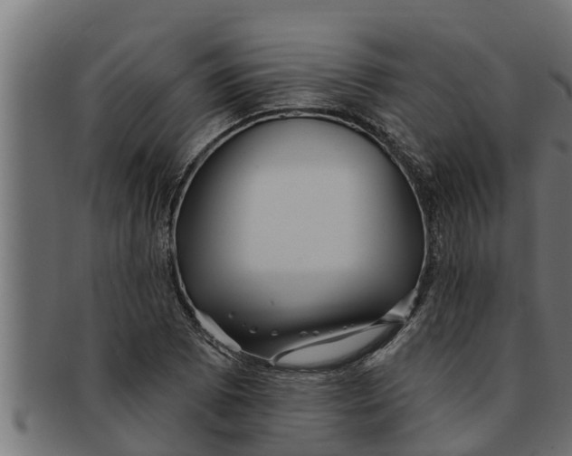 X0000091691073200709201254