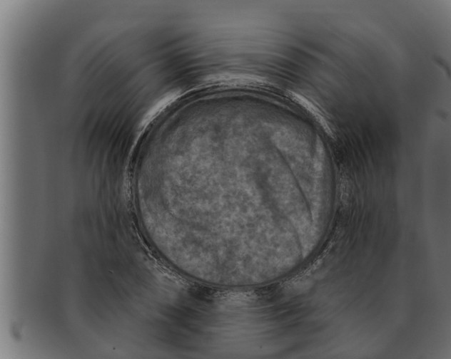 X0000091691074200709201254