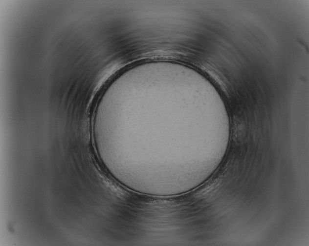 X0000091691075200709201254