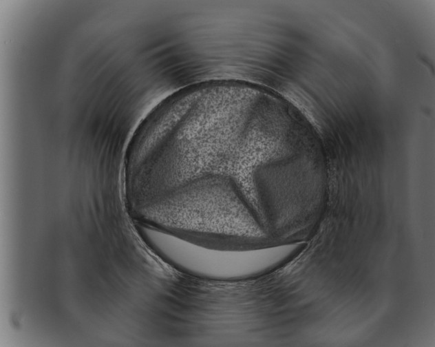 X0000091691076200709201254