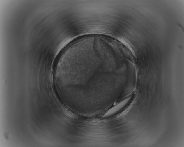 X0000091691077200709201254