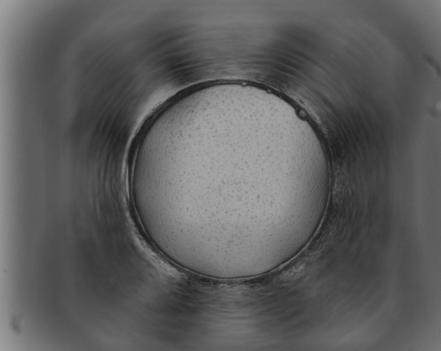 X0000091691080200709201254