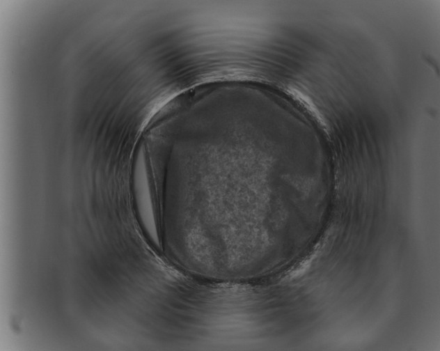 X0000091691081200709201254