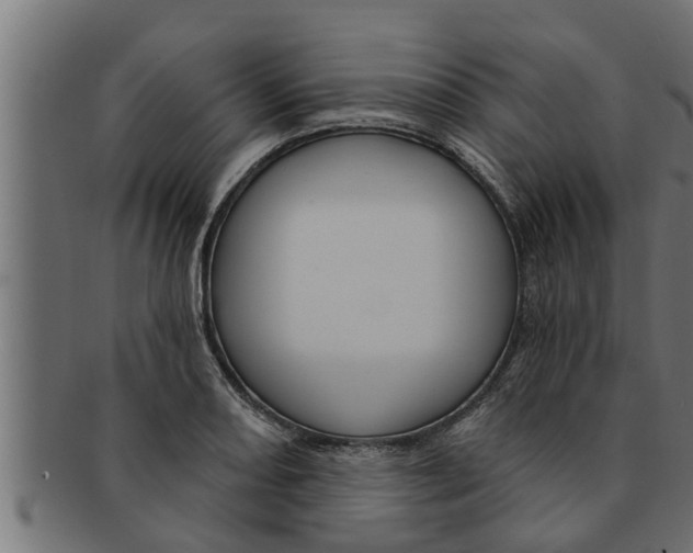 X0000091691082200709201254