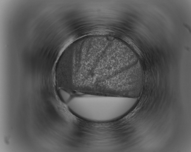 X0000091691083200709201254