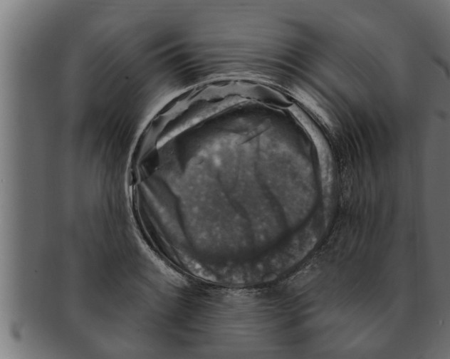 X0000091691084200709201254