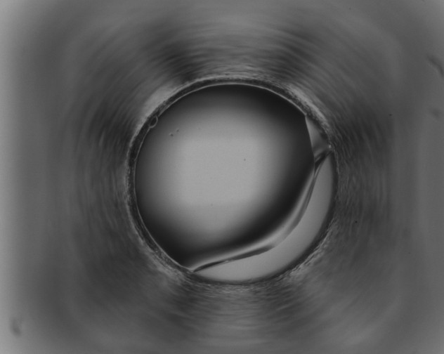 X0000091691085200709201254