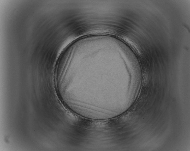 X0000091691086200709201254