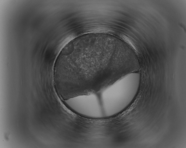 X0000091691087200709201254