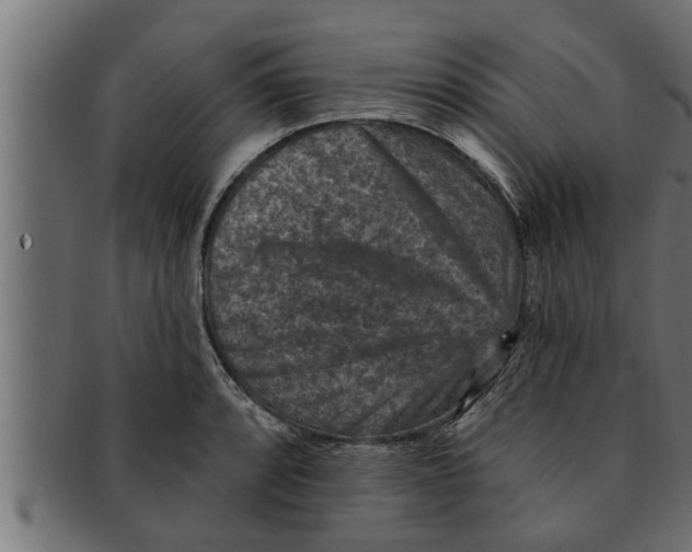 X0000091691088200709201254