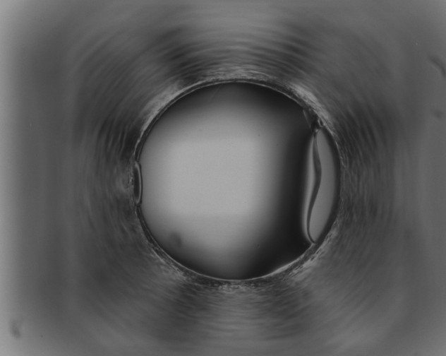 X0000091691089200709201254