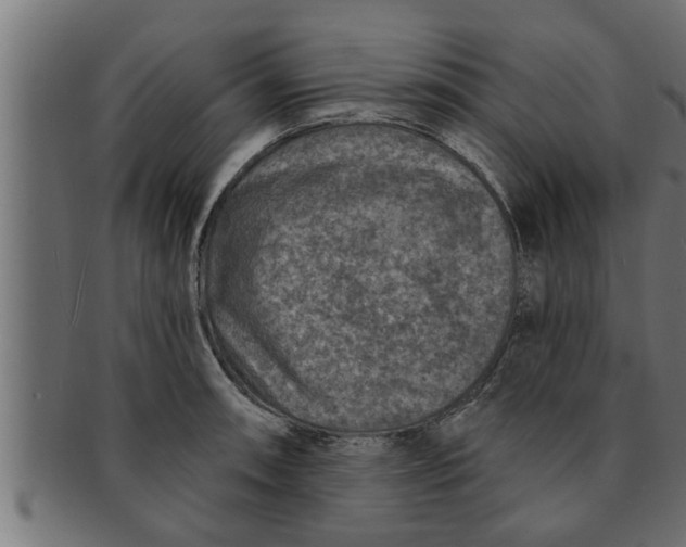 X0000091691090200709201254