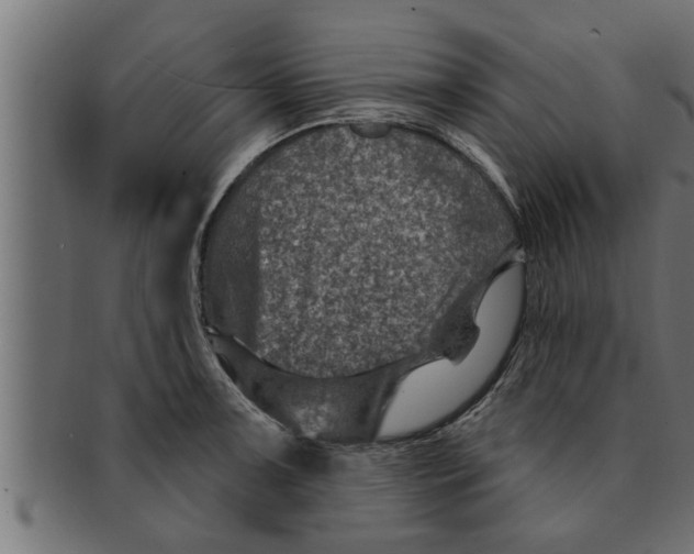 X0000091691091200709201254