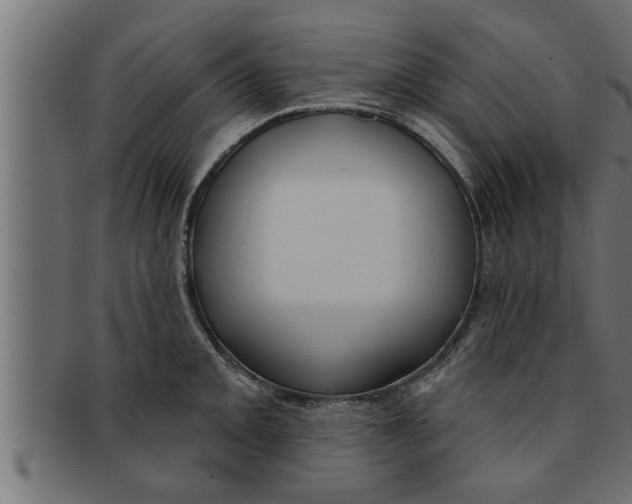 X0000091691093200709201254