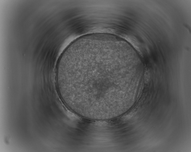 X0000091691094200709201254