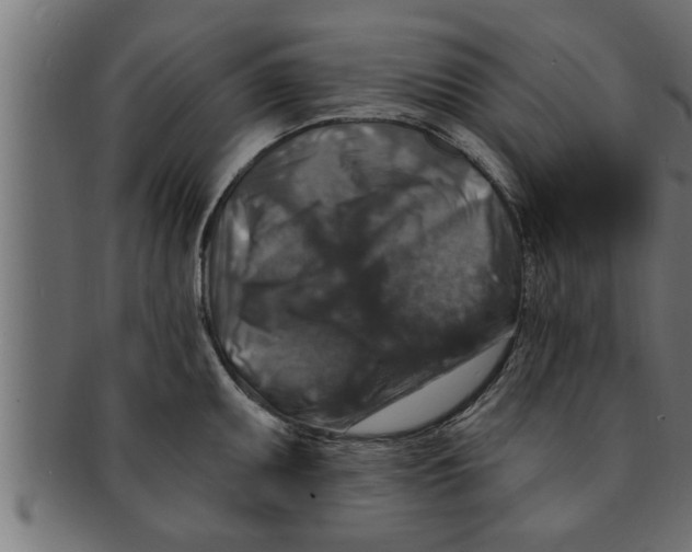 X0000091691095200709201254