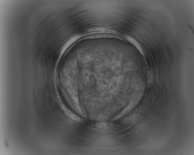 X0000091691098200709201254