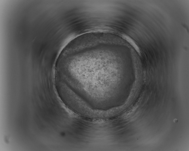 X0000091691099200709201254