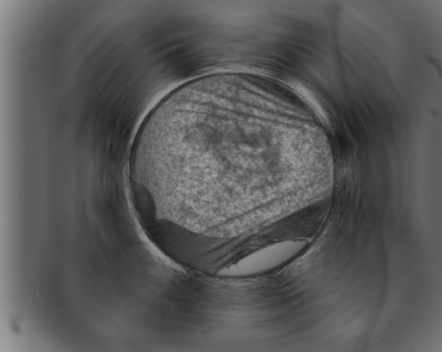 X0000091691100200709201253