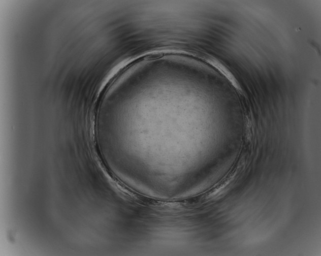 X0000091691101200709201253