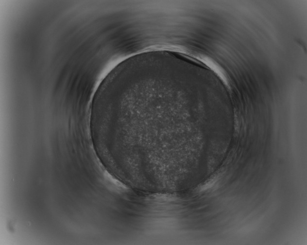 X0000091691102200709201253