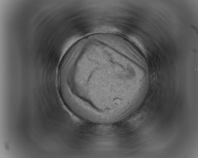 X0000091691103200709201253