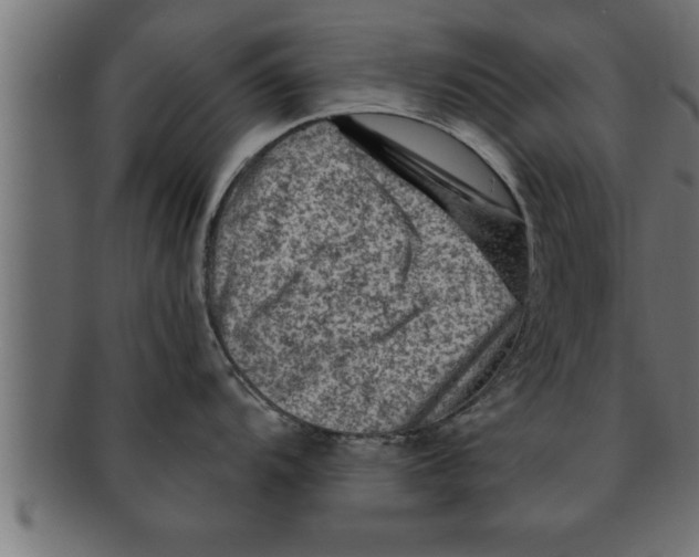 X0000091691104200709201253