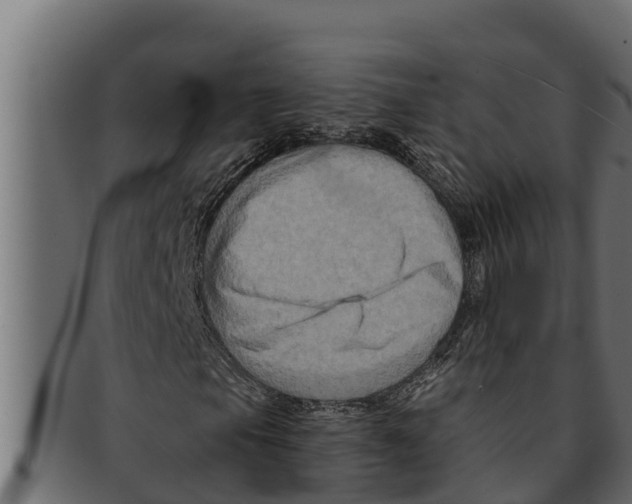 X0000091691105200709201253