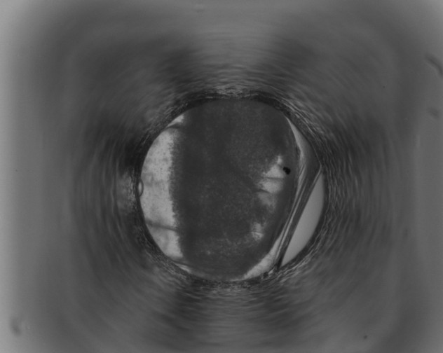 X0000091691106200709201253