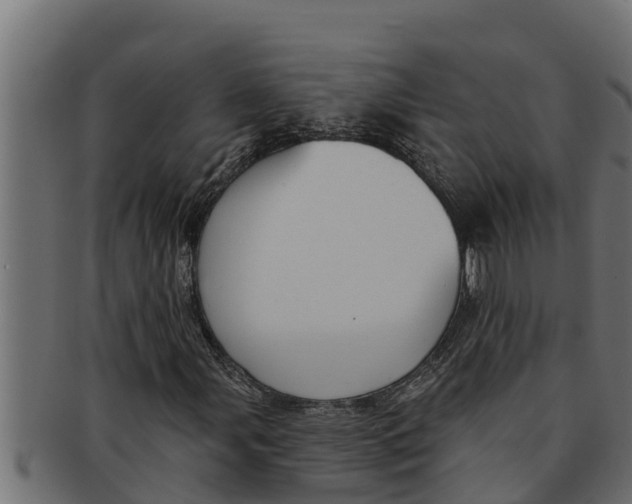 X0000091691107200709201253