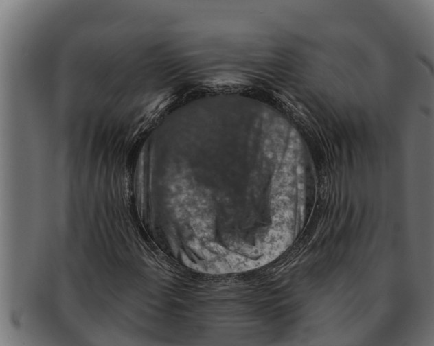 X0000091691108200709201253