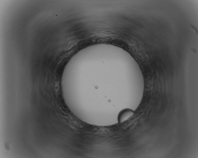 X0000091691109200709201253