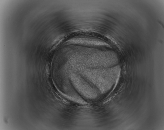 X0000091691110200709201253