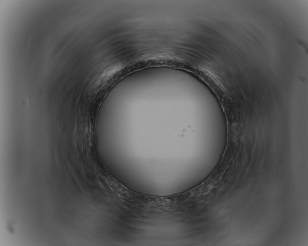 X0000091691111200709201253