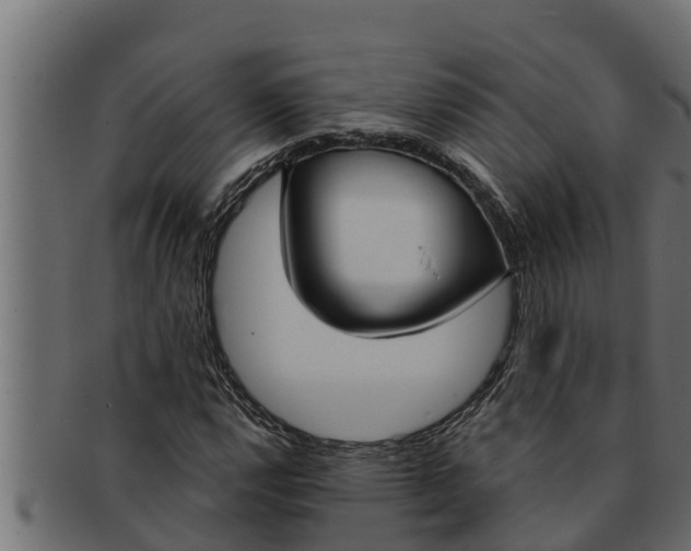 X0000091691112200709201253