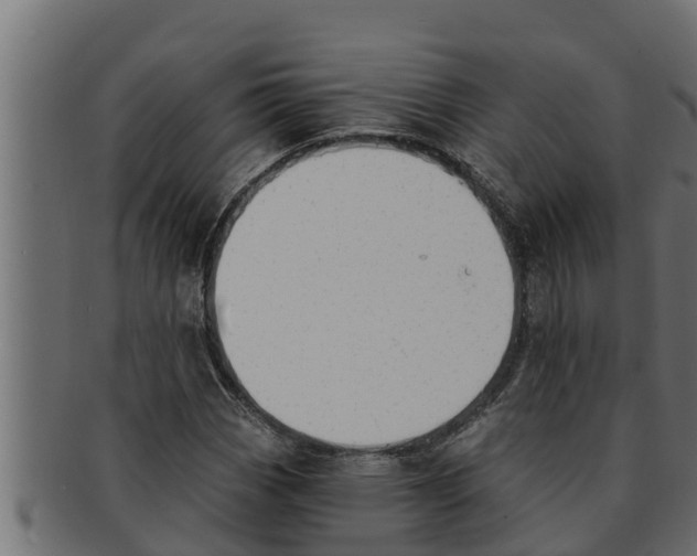 X0000091691113200709201253