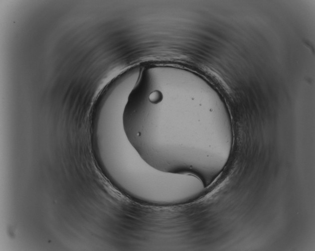 X0000091691114200709201253