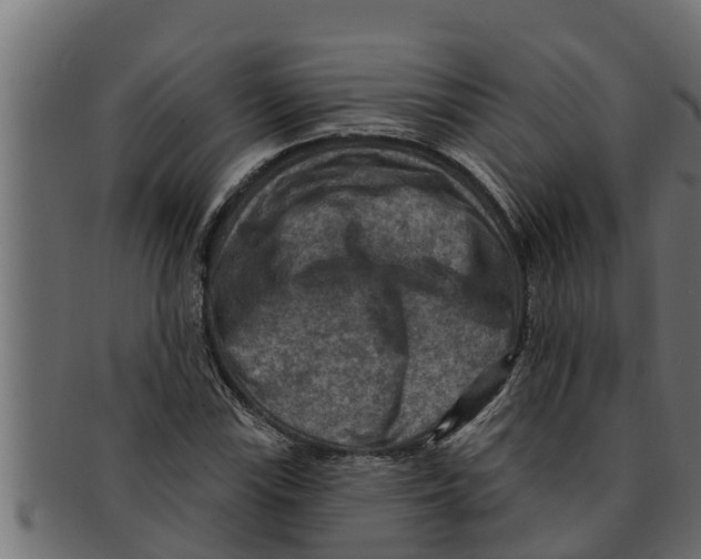 X0000091691115200709201253