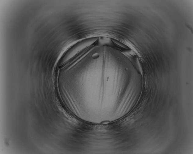 X0000091691116200709201253