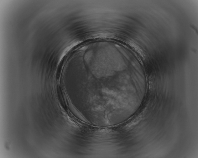 X0000091691117200709201253